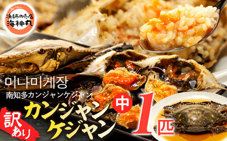 訳あり 南知多カンジャンケジャン カンジャンケジャン 中蟹1匹 ワタリガニの醤油漬け 魚介 魚介類 カンジャンケジャン 渡蟹 蟹 新鮮 グルメ カニ