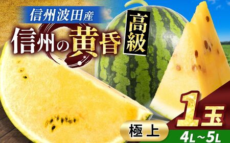 【先行受付】信州波田産 甘いスイカ！ 信州の黄昏 ( 金色羅皇 ) 【極上】 4L～5Lサイズ 1玉