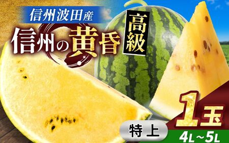 【先行受付】信州波田産 甘いスイカ！ 信州の黄昏 ( 金色羅皇 ) 【特上】 4L～5Lサイズ 1玉