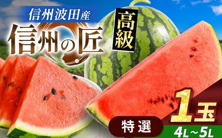【先行受付】信州波田産 高級スイカ！信州の匠 【特選】 4L～5Lサイズ 1玉
