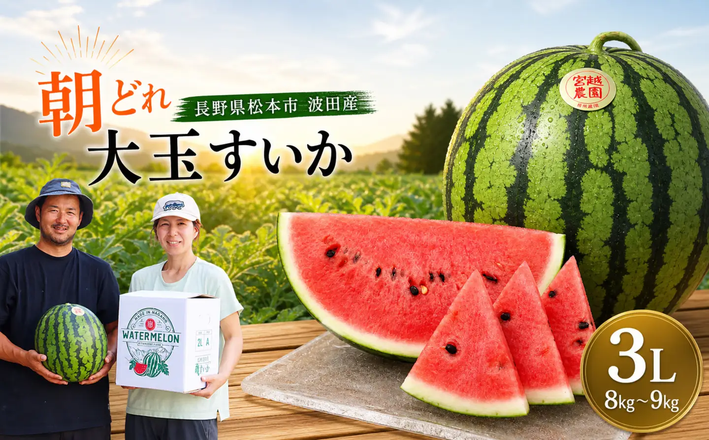 【先行受付】松本市 波田産 大玉すいか ３L（8kg～9kg)