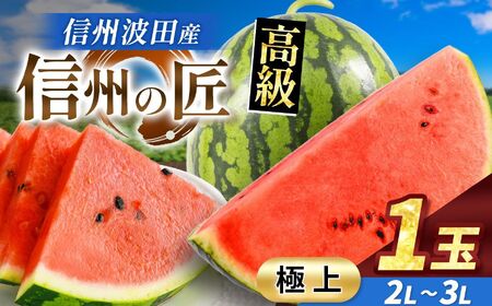 【先行受付】信州波田産 高級スイカ！信州の匠 【極上】 2L～3Lサイズ 1玉