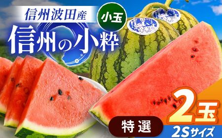 【先行受付】信州波田産 小玉スイカ ！信州の小粋 【特選】 2玉 2Sサイズ