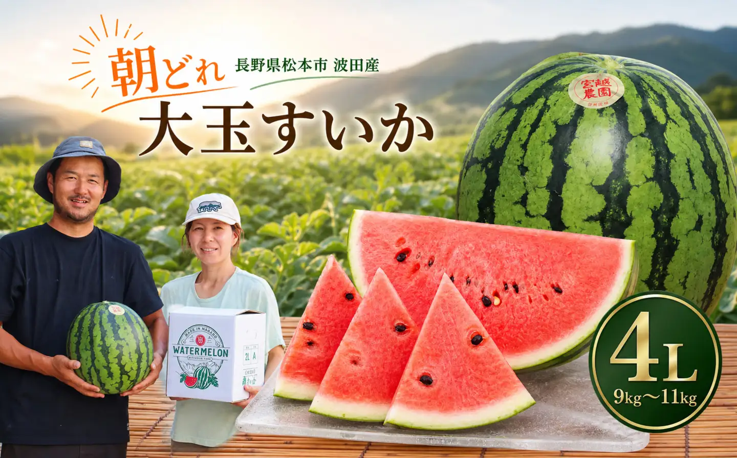 【先行受付】松本市 波田産 大玉すいか 4L（9kg～11kg)