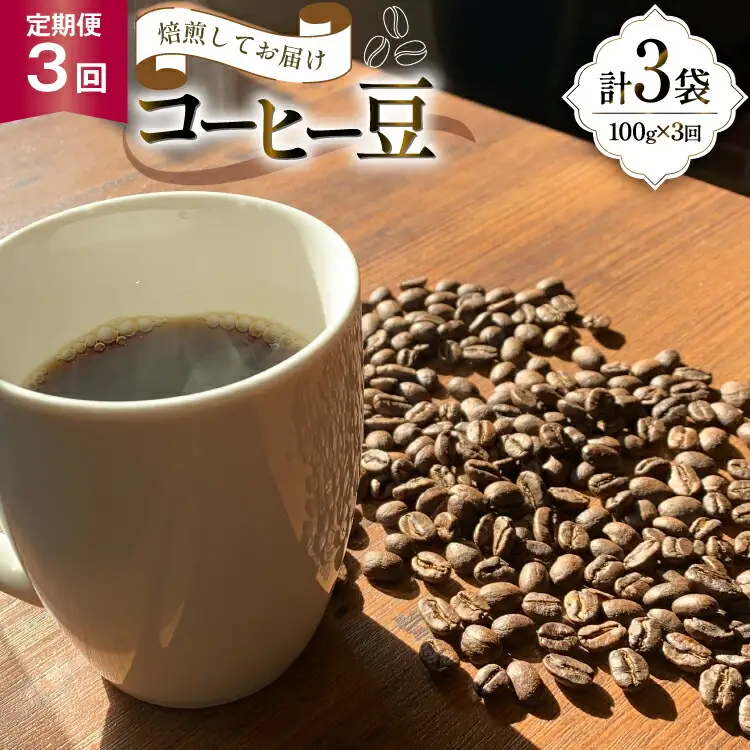 コーヒー豆 3ヶ月 定期便 100g×3 [いち日のはじまり 福岡県 筑紫野市 21761469]