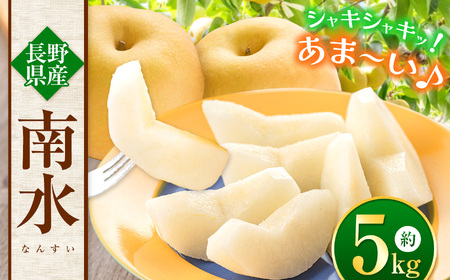 【先行受付】信州生まれの優れもの！糖度１５度。超甘い、シャリ感、硬い、ジューシー、日保ちする「南水（なんすい）」5kg