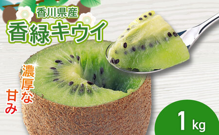 濃厚な甘み！ 香緑 キウイ 約1kg 香緑 キウイ フルーツ 果物【goshiki018】