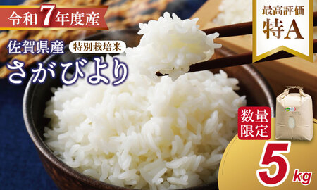 R７年度産（令和７年）特別栽培米 佐賀ブランド 米「 さがびより 」（5kg）田中農場 精米 5キロ 特A 評価  B130-081