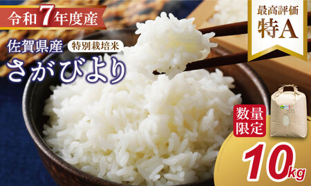 R7年度産（令和７年）特別栽培米 佐賀ブランド 米「 さがびより 」10kg（5kg×2袋）田中農場 精米 白米 10キロ 特A 評価  C230-010