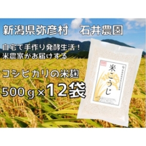 ＜乾燥米こうじ 500g×12袋＞弥彦村 石井農園 新潟県認証特別栽培米 コシヒカリ使用 | 米麹