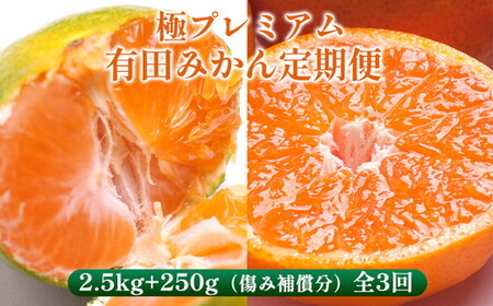 〈定期便〉【10・11・12月 全3回】極プレミアム 有田みかん定期便 2.5kg+250g（傷み補償分） ※北海道・沖縄・離島への配送不可