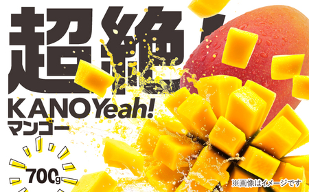 【 期間限定 】 超絶 ！ KANOYeah ！ マンゴー 700g（ 2玉 ） KN112-001-01 果物