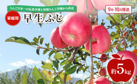【 9月・10月発送 】 家庭用 早生ふじ 約 5kg 【 青森県鶴田町産 りんご 青森りんご 】果物類 フルーツ 林檎 リンゴ 鶴田町 青森県 おやつ デザート