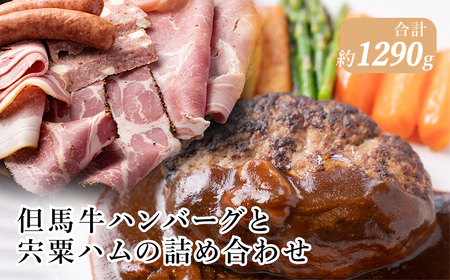 J22　但馬牛 ハンバーグ と 宍粟ハム の 詰め合わせ 【 但馬牛 国産 ハム 牛肉 豚肉 贈り物 ギフト 冷凍 セット 】