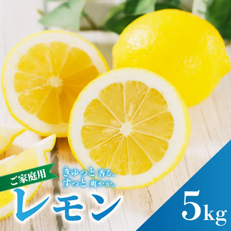 【レモン】 【2027年2月上旬から発送】 イエローレモン 約5kg 防腐剤 ワックス 不使用【RNK0211_y】