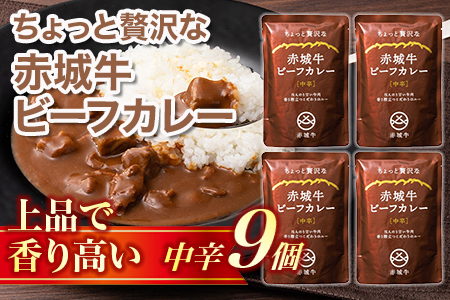【ちょっと贅沢な】赤城牛ビーフカレー 中辛（9個）  カレー レトルト