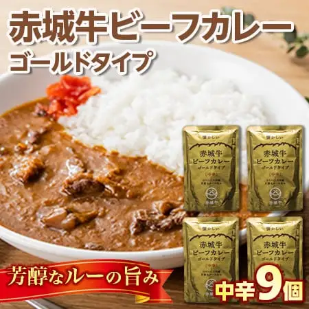 【懐かしい】赤城牛ビーフカレー ゴールドタイプ 中辛（9個）  カレー レトルト