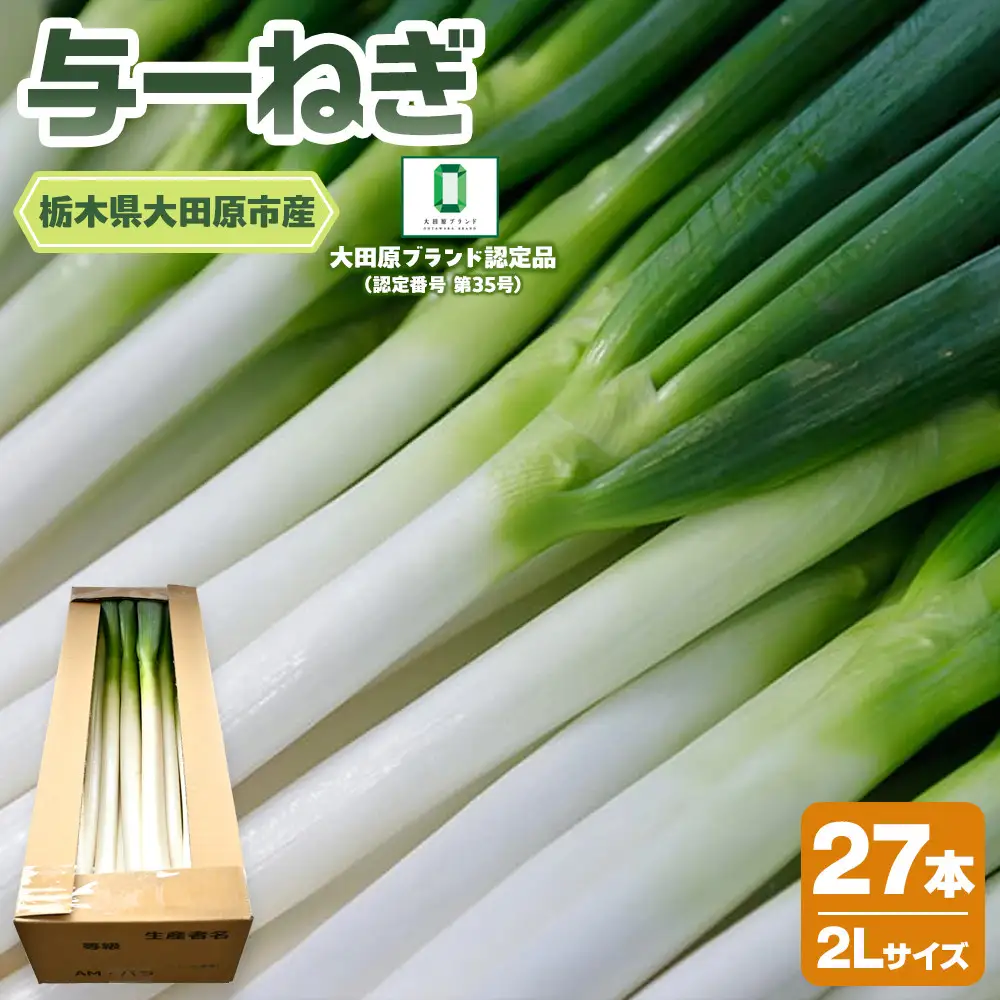 与一ねぎ 2Lサイズ（27本） ｜野菜 ネギ 農家直送 産地直送 産直 大田原ブランド 栃木県 大田原市