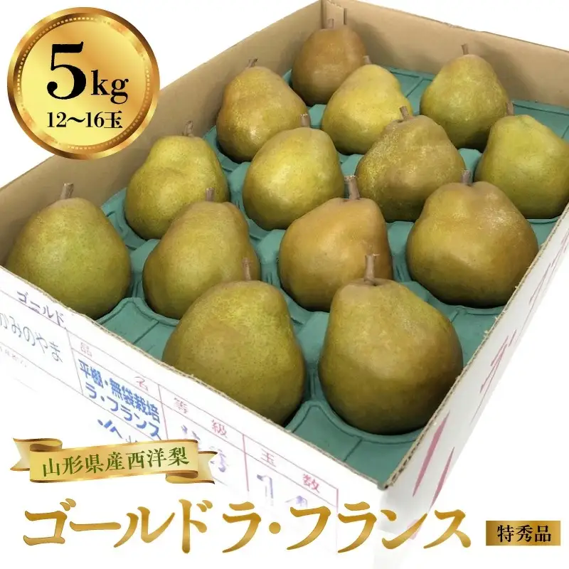 西洋梨（ゴールドラ・フランス）５ｋｇ　１２～１６玉　特秀品　0060-2614