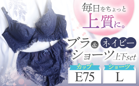 ブラ＆ショーツ 上下セット ネイビー E75＆ショーツ L | 女性用下着 レディース ブラ＆ショーツ ブラ ショーツ ネイビー 上下セット 君津市 きみつ 千葉県
