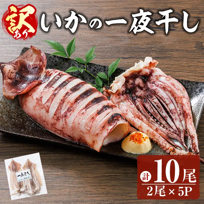 ＜訳あり＞ いかの一夜干し (計10尾) 魚介 いか イカ 烏賊 一夜干し 冷凍 おつまみ つまみ スルメイカ するめいか するめ 国産 小分け 【opar003】【磯武】