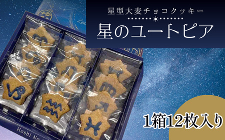 星のユートピア（大麦チョコクッキー）