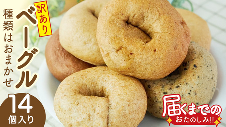 【 訳あり 】 おまかせ ベーグル 14個セット