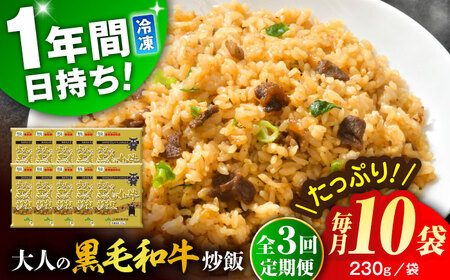 【全3回定期便】熊本県産 こだわり炒飯 大人の黒毛和牛炒飯 計2.3kg (230g×10) 冷凍食品 炒飯 [BHCS019]