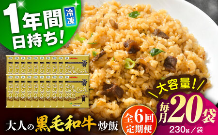 【全6回定期便】熊本県産 こだわり炒飯 大人の黒毛和牛 炒飯 230g×20袋 合計4.6kg 冷凍食品 炒飯 [BHCS022]