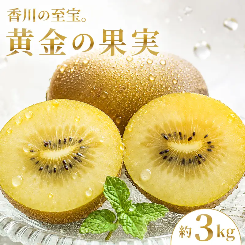 【先行予約】さぬきゴールドキウイ 約3kg