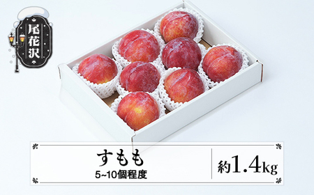 先行予約 すもも 秋姫 秀品 約1.4kg (5~10個程度)  令和8年産 sb-plahx1400-b