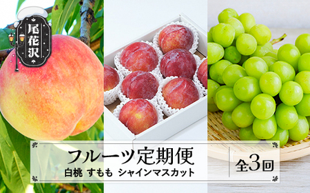 【先行予約】フルーツ定期便 全3回 白桃 すもも シャインマスカット  令和8年産 sb-fthps3-b