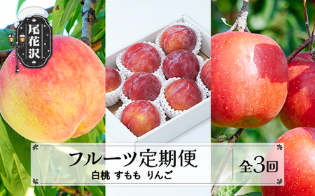 【先行予約】フルーツ定期便 全3回 白桃 すもも りんご  令和8年産 sb-fthpr3-b