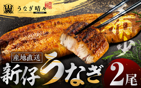 うなぎ晴々 蒲焼き 新仔 2尾 うなぎ