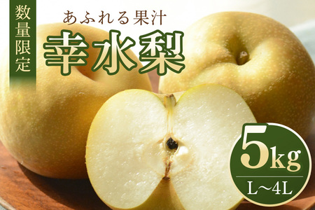 【数量限定・先行予約】 梨 幸水 5kg L～4L 11～18玉 なし ナシ 果物 フルーツ 国産 【8月10日～9月末発送予定】 70-M