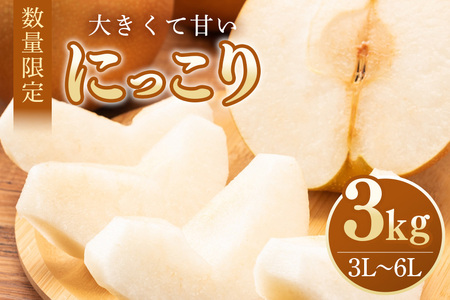 【数量限定・先行予約】 梨 にっこり 3kg 3L～6L 5～8玉 なし ナシ 果物 フルーツ 国産 【9月20日以降発送予定】 70-N
