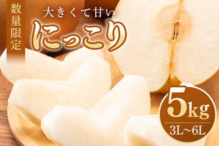 【数量限定・先行予約】 梨 にっこり 5kg 3L～6L 7～14玉 なし ナシ 果物 フルーツ 国産 【9月20日以降発送予定】 70-O