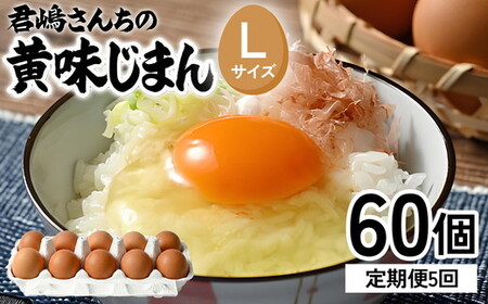 【5か月定期便】君嶋養鶏園のたまご Lサイズ 60個（55個＋割れ補償5個）×5ヶ月 計300個 | 定期便 5ヶ月 5か月 5ヵ月 卵 玉子 たまご 赤卵 赤たまご 生卵 国産 濃厚 鶏卵 コク 旨味