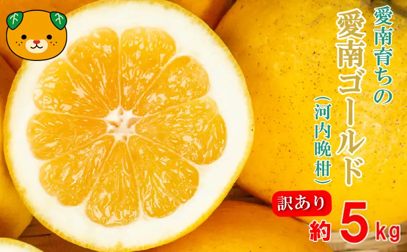 訳あり 愛南ゴールド（河内晩柑) 5kg 柑橘 愛南ゴールド 青果市場