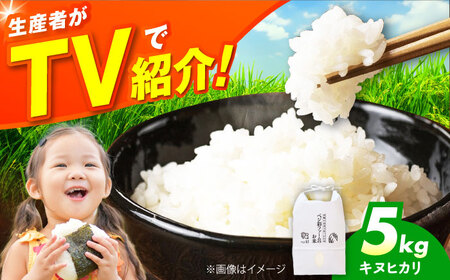 お米 令和7年産 キヌヒカリ 5キロ [AOEJ009] お米