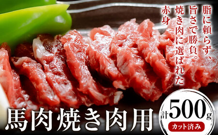 馬肉焼肉用 500g カット済《60日以内に出荷予定(土日祝除く)》熊本県 葦北郡 津奈木町 桜屋 送料無料 肉 馬肉 焼肉