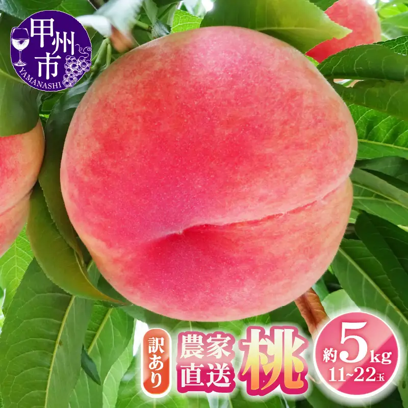 農家直送 訳あり 桃 約5kg 11～22玉【2026年発送】（YKI）B11-990【桃 もも モモ 令和8年発送 期間限定 山梨県産 甲州市 フルーツ 果物】