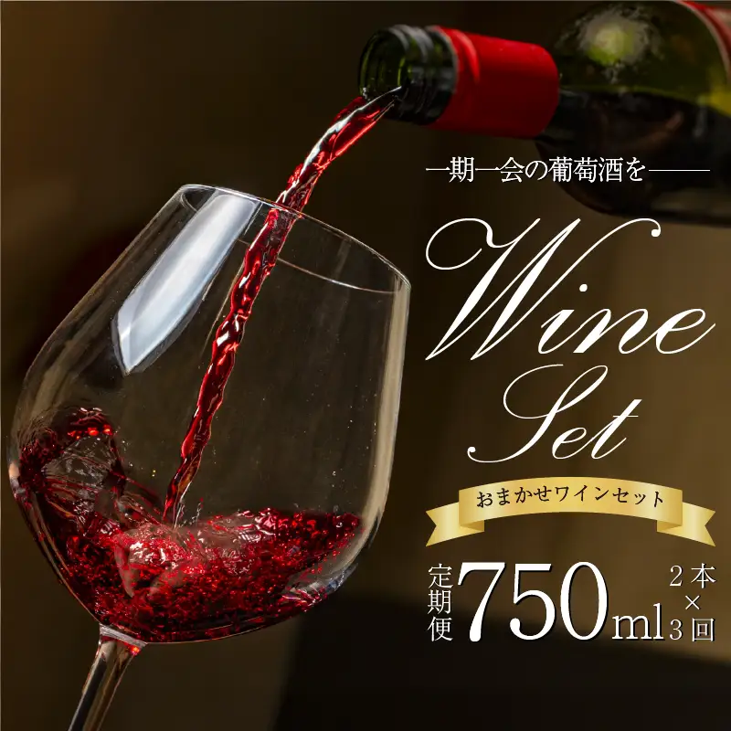 【醸造所 直送】 こだわり 国産 ワイン 定期便 750ml 2本 3回【 ワイン 】
