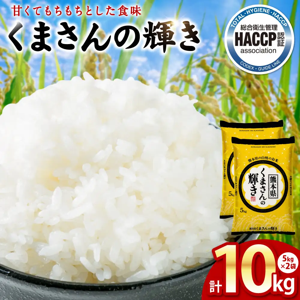 《令和7年産》くまさんの輝き 5kg×2袋 合計10kg  熊本県 八代市産 米 お米 精米 白米 国産