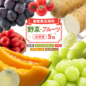 1015.【先行予約 2026年8月以降発送】 鳥取県北栄町から旬の美味しさをお届け！特産づくし【5回定期便】