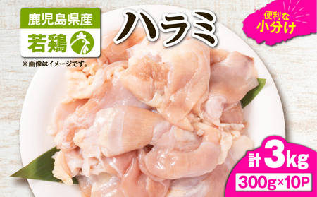 鹿児島県産 若鶏 ハラミ 3kg セット KN105-017 肉 鶏肉 冷凍