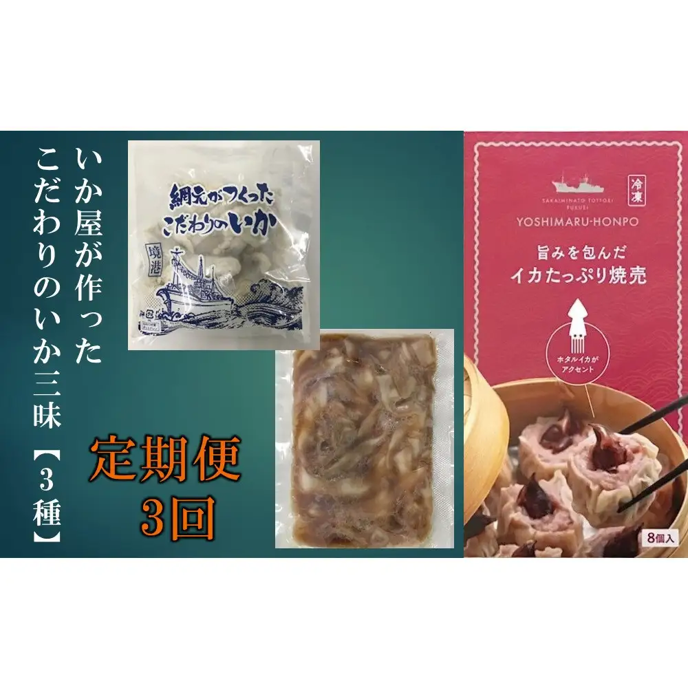 ＜定期便3回＞ いか屋が作ったこだわりのいか三昧(3種)