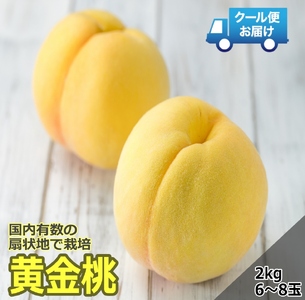 ＜2026年発送先行予約＞クール便 収穫当日に発送 【黄金桃】2kg（6～8玉） ALPDG011