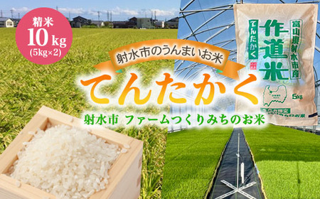 【射水市】【射水の美味しいお米】ファームつくりみちのお米　作道米R8年度産てんたかく10kg（5kg×2）【精米】 ※離島への配送不可 ※2026年8月中旬～9月上旬頃に順次発送予定