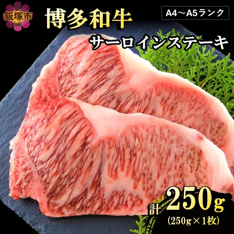 【A4-A5ランク】博多和牛サーロインステーキ 250g【A3-081】